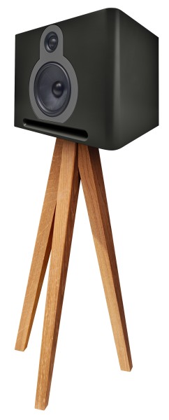 Guru Q10